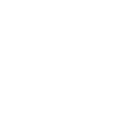 ChatGPT logo